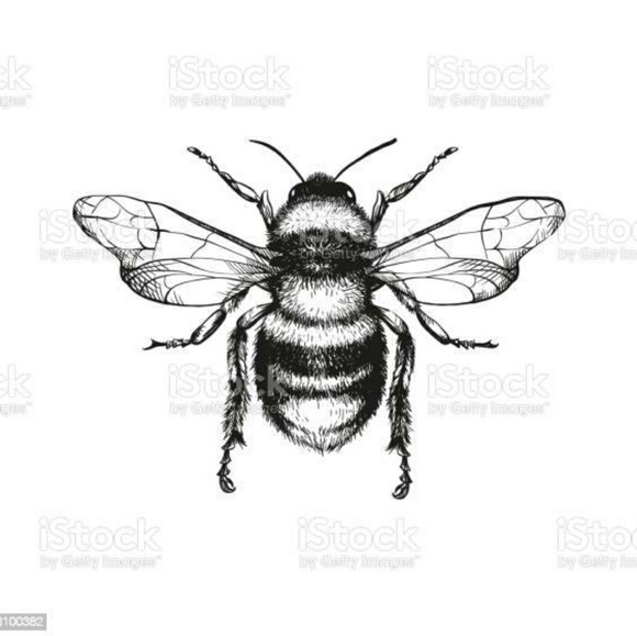 Meet your Posher, Raiya - Picture 1 of 1